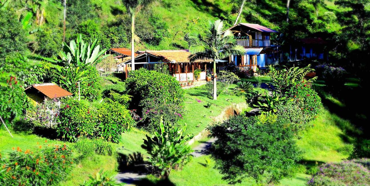 Ecolodge Puente Explanacion Salento Kültér fotó