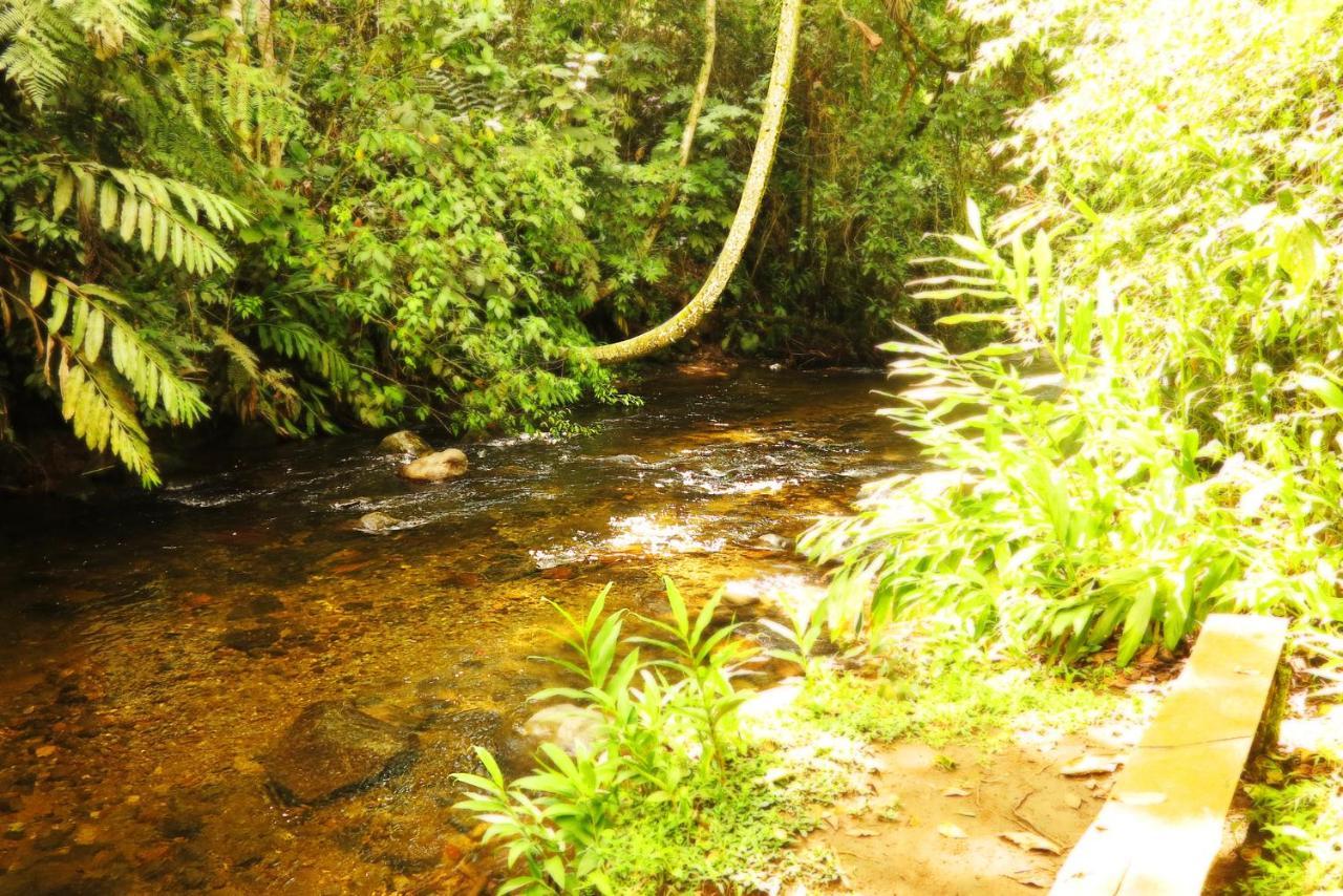 Ecolodge Puente Explanacion Salento Kültér fotó