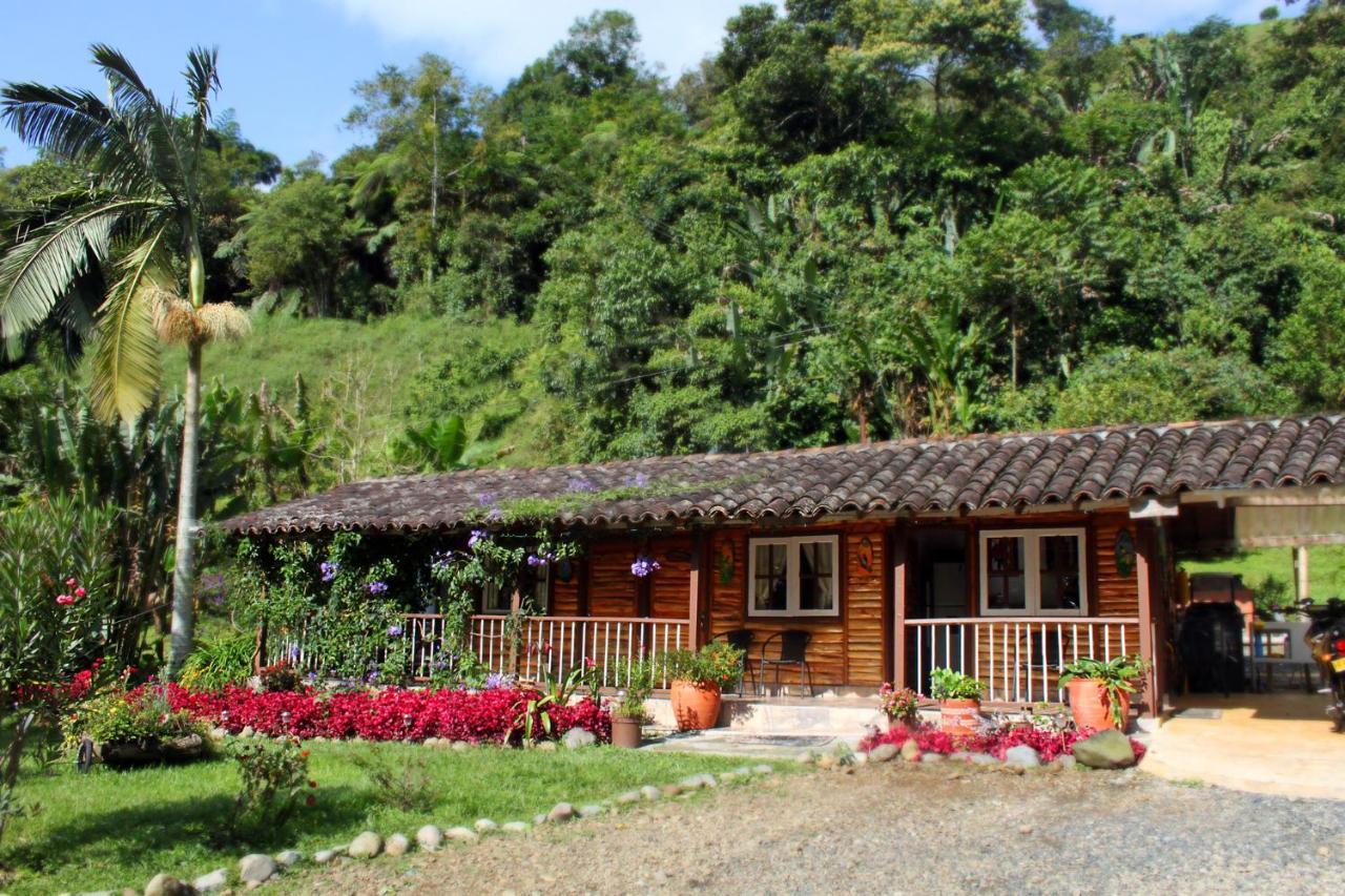 Ecolodge Puente Explanacion Salento Kültér fotó