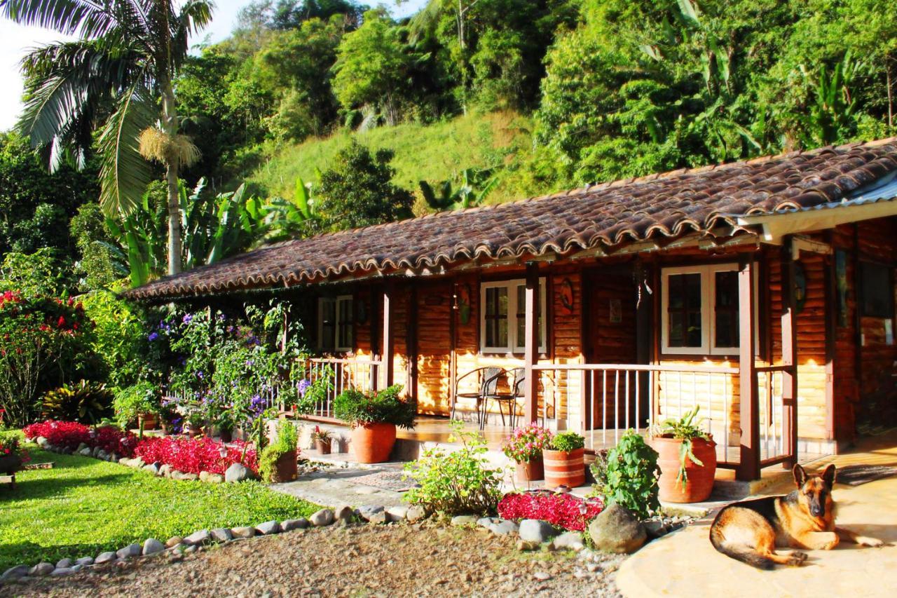 Ecolodge Puente Explanacion Salento Kültér fotó