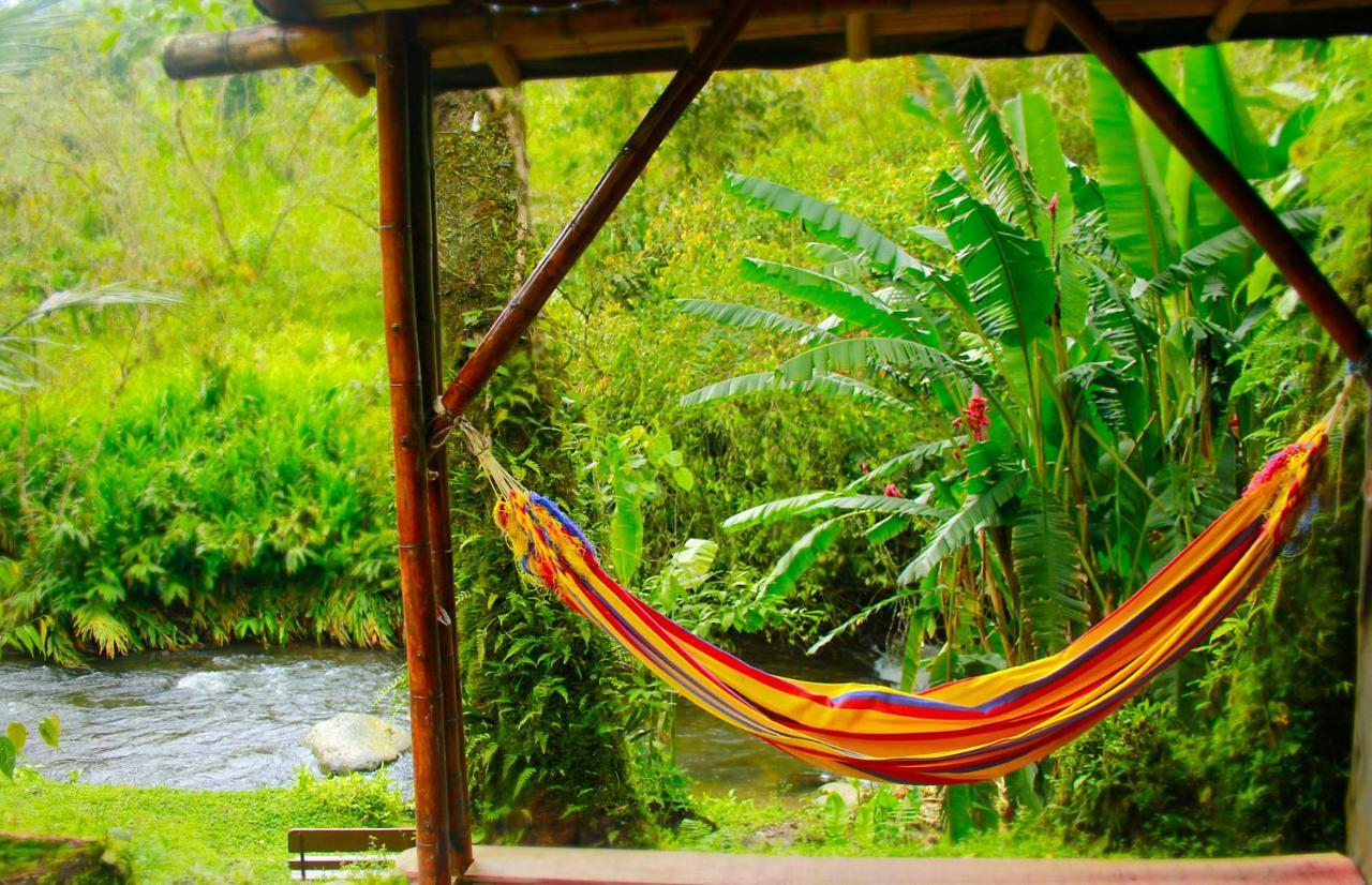 Ecolodge Puente Explanacion Salento Kültér fotó