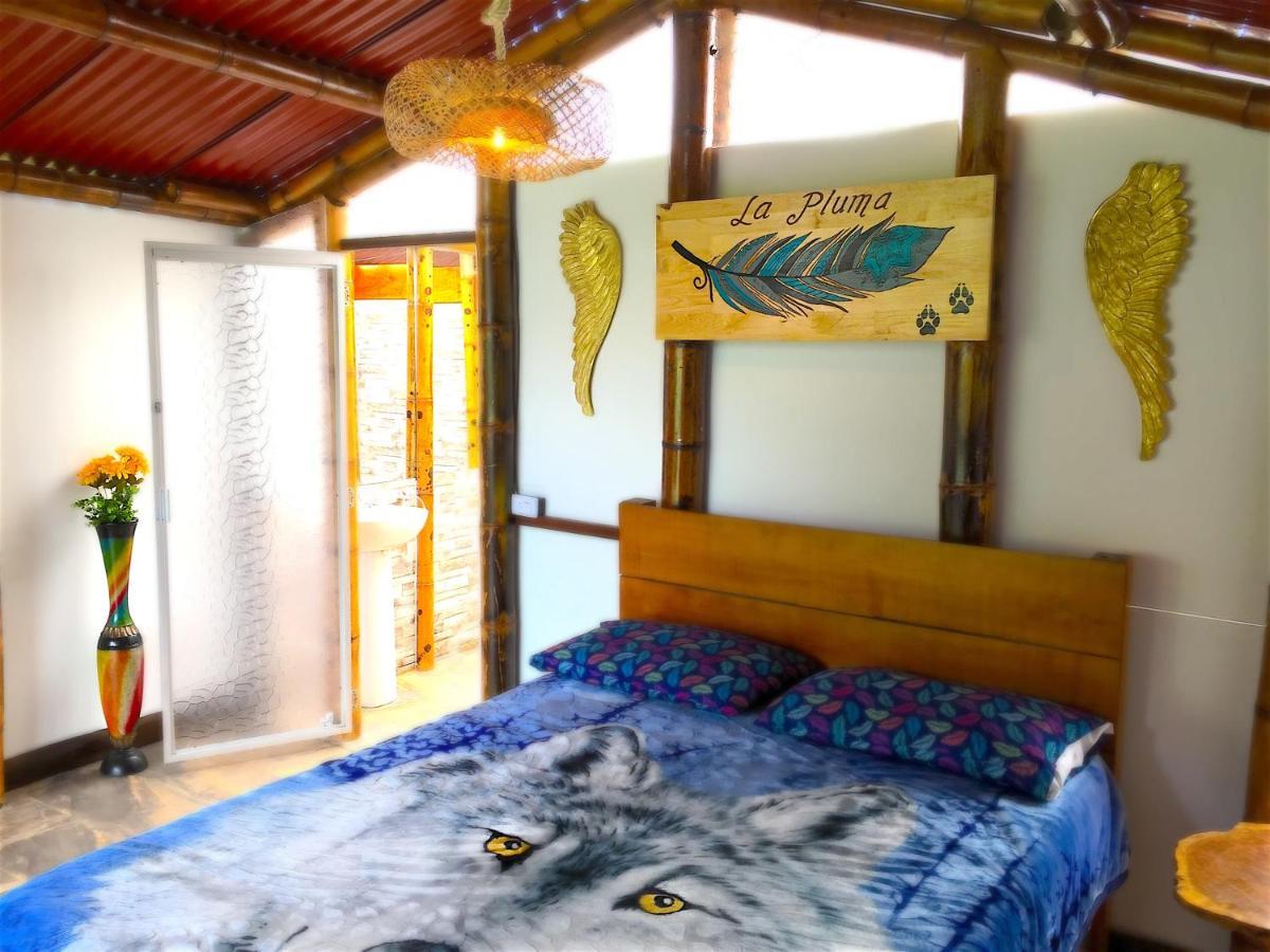 Ecolodge Puente Explanacion Salento Kültér fotó