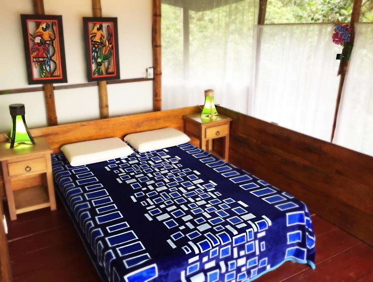 Ecolodge Puente Explanacion Salento Kültér fotó